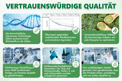 🎁 Nur noch 5 Kisten von 𝐈𝐧𝐬𝐋𝐞𝐦𝐨𝐧®  übrig! Heute zusätzlich 30 % sparen – Fühlen Sie sich jeden Tag besser, bevor dieses zeitlich begrenzte Angebot endet!